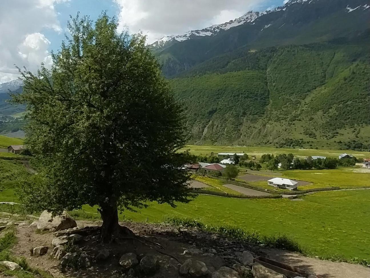 Guesthouse Leno Tsaldashi Экстерьер фото